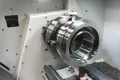 Media Name: cheshire_seals_-_component.jpg