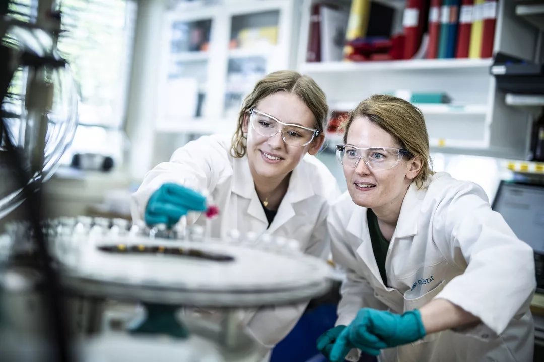 Media Name: element_materials_technology.jpg