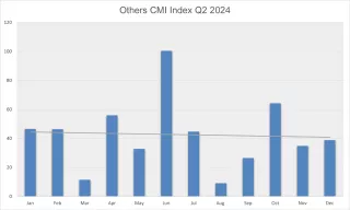 Other processes CMI 2024