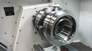 Media Name: cheshire_seals_-_component.jpg