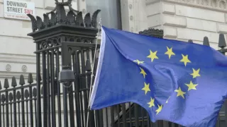 Media Name: brexit-eu-flag-downing-street.jpg