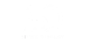 This is an image of the SD Wind Energy Logo in white - SD Wind Energy use qimtek when they source new bespoke components